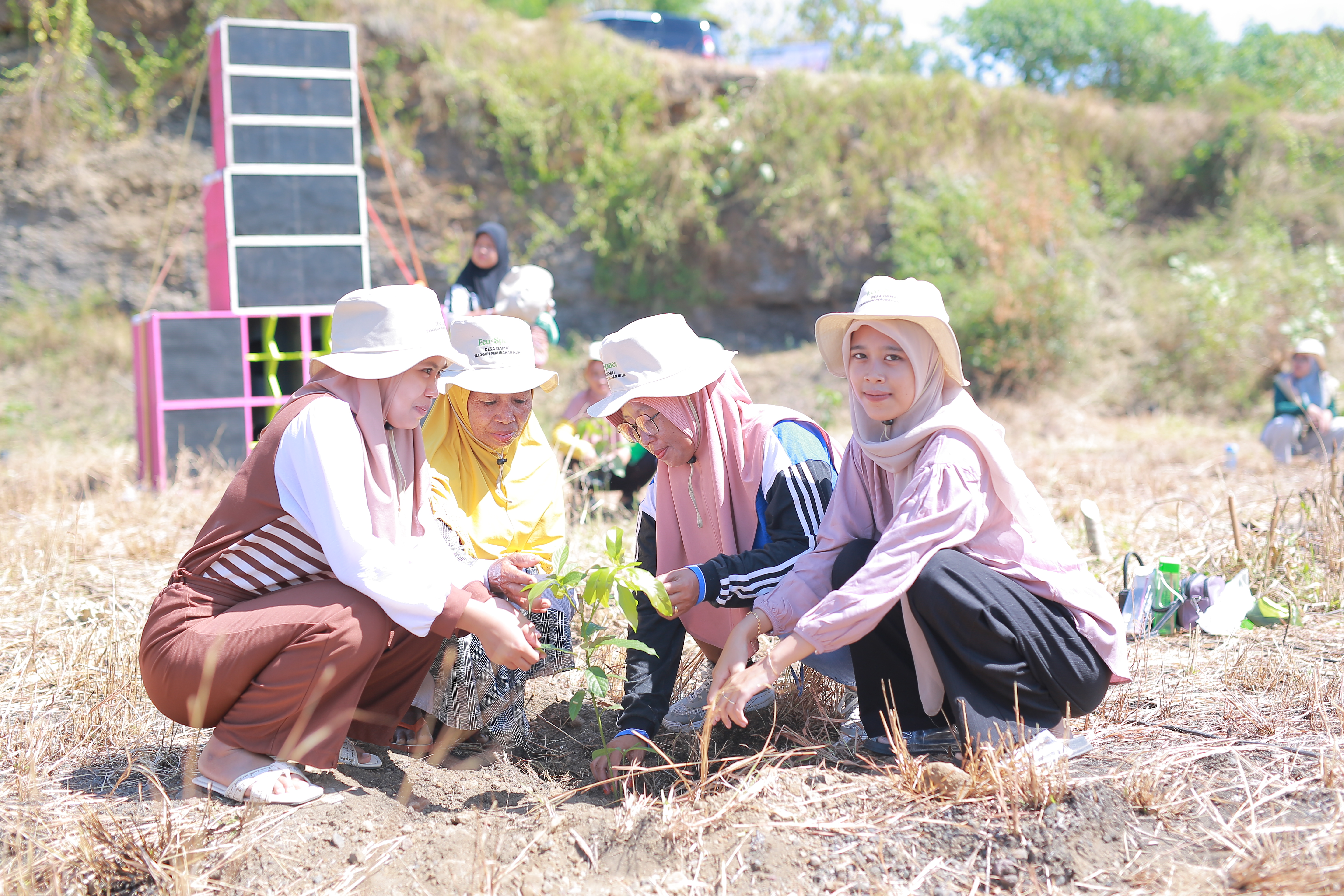 Aksi Kolektif Perempuan Desa Damai Banyuwangi Pulihkan Lahan Bekas Tambang Jadi Ruang Hijau
